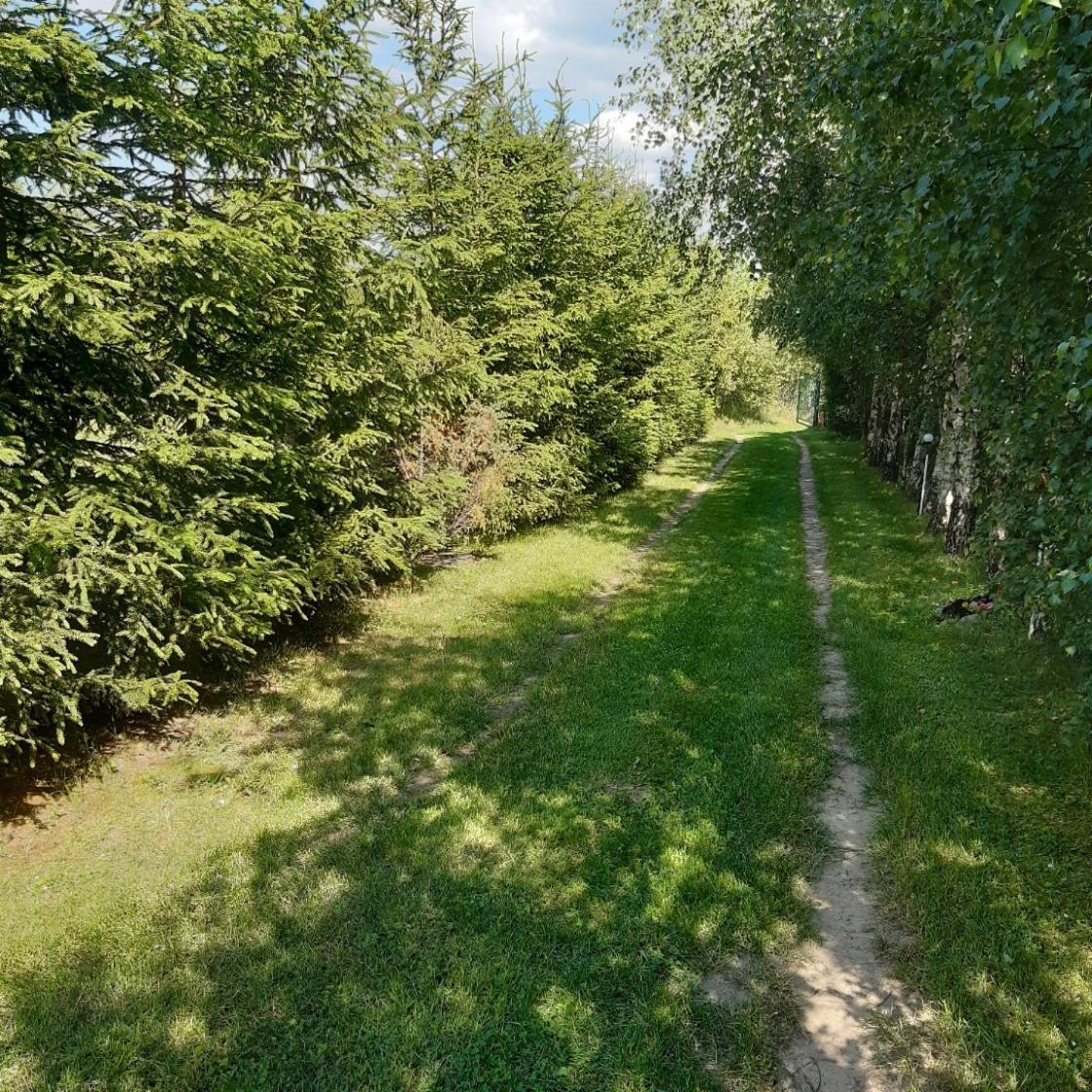Domek W Kwiatach Zyndaki Exterior foto